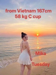 Image of ff9a42ae-9b6a-4993-b86d-364d129a4a4e